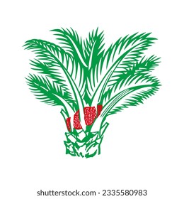 Make a Professional Palm Tree Vector and Illustration