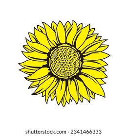 Make a Professional Sunflower Vector Illustration