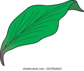 Make simple leaf Vector illustration for clipart