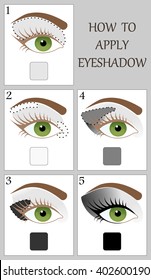 Make up tutorial set - stages of applying gray shadow on green women eye with brow and lashes. eyeshadow apply step by step. makeup concept, vector art image illustration isolated on white background