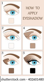 Make up tutorial set - stages of applying brown shadow on blue women eye with brow and lashes. eyeshadow apply step by step. makeup concept, vector art image illustration isolated on white background