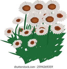 I make vector illustrations, namely vector illustration flowers with very complicated designs