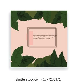 make your story even prettier by using templates and attracting more visitors