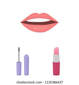 Makeup and cosmetics cartoon icons in set collection for design. Makeup and equipment vector symbol stock web illustration.