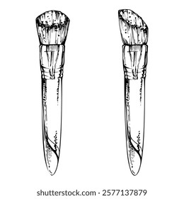 Make-up paint artistic supply bristle sponge brush applicator detailed line vector sketch hand drawn in ink, isolated object. Beauty parlor salon illustration, packaging, cosmetics shop, art studio