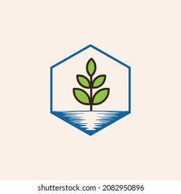 Making Green world Environment Panting tree anywhere. Keep fresh every leaf. 