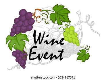 Making and tasting wine, special event or occasion in rural area or countryside. Harvesting or holiday, poster with grapes and calligraphic text. Monochrome sketch outline, vector in flat style