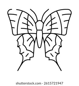malabar banded peacock insect line icon vector. malabar banded peacock insect sign. isolated contour symbol black illustration