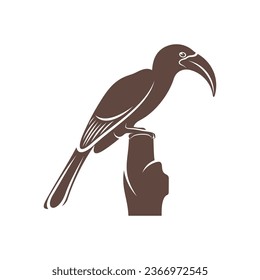 Diseño de ilustración vectorial Malabar Gray Hornbill. Malabar Gray Hornbill Silhouette. Plantilla de diseño de Bucerótido.