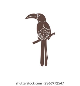 Diseño de ilustración vectorial Malabar Gray Hornbill. Malabar Gray Hornbill Silhouette. Plantilla de diseño de Bucerótido.