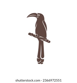 Diseño de ilustración vectorial Malabar Gray Hornbill. Malabar Gray Hornbill Silhouette. Plantilla de diseño de Bucerótido.