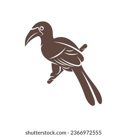 Diseño de ilustración vectorial Malabar Gray Hornbill. Malabar Gray Hornbill Silhouette. Plantilla de diseño de Bucerótido.