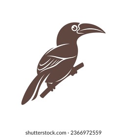 Diseño de ilustración vectorial Malabar Gray Hornbill. Malabar Gray Hornbill Silhouette. Plantilla de diseño de Bucerótido.