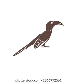 Diseño de ilustración vectorial Malabar Gray Hornbill. Malabar Gray Hornbill Silhouette. Plantilla de diseño de Bucerótido.