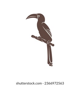 Diseño de ilustración vectorial Malabar Gray Hornbill. Malabar Gray Hornbill Silhouette. Plantilla de diseño de Bucerótido.