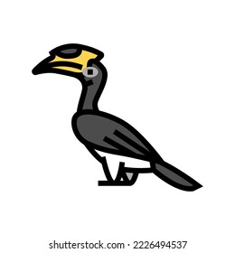 malabar pied hornbill bird exotic color icon vector. malabar pied hornbill bird exotic sign. isolated symbol illustration