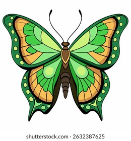 malachite butterfly vector on white background