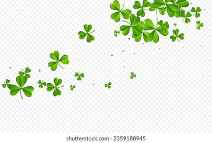 Malachite Clover Minimal Vector Transparent Background. Bright Leaf Holiday Wallpaper. Stream Leaves Backdrop. Olive color Foliage Summer Template.