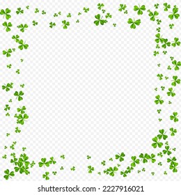 Malachite Clover Saint Patrick Vector Transparent Background. Green Leaves Botanical Template. Summer Shamrock Wallpaper. Olive color Leaf Wind Backdrop.