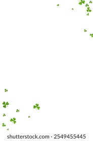 Malachite Clover Saint Patrick Vector White Background. Green Shamrock Holiday Template. Air Leaves Pattern. Olive color Leaf Minimal Wallpaper.