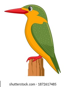 Malachite kingfisher bird on a white background. Cartoon style vector illustration