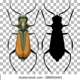 Malachius Aeneus on transparent background illustration
