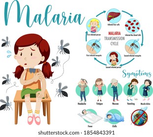 Malaria transmission cycle and symptom information infographic illustration