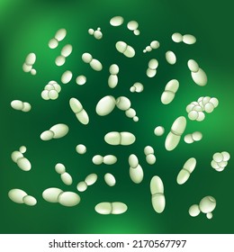 Malassezia fungi. yeasts of Pityrosporum that associated with dandruff, seborrhoeic dermatitis and tinea versicolor. Microscopic fungi on green background. vector