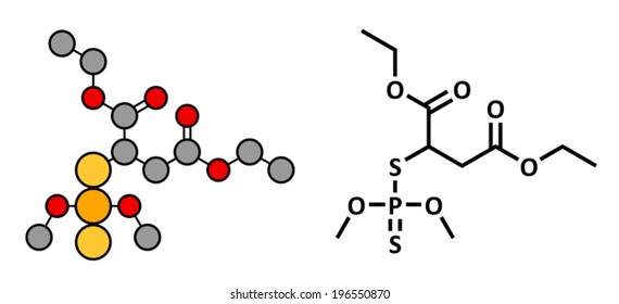 Malathion insecticide, chemical structure. Used to treat head lice, body lice, scabies and in farming. Skeletal formula and stylized representation, showing atoms (except H) as color coded circles. 