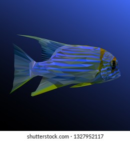 Malawi cichlid fish animal low poly design. Triangle vector illustration.