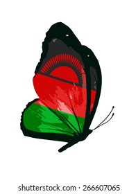 Malawi flag butterfly - vector