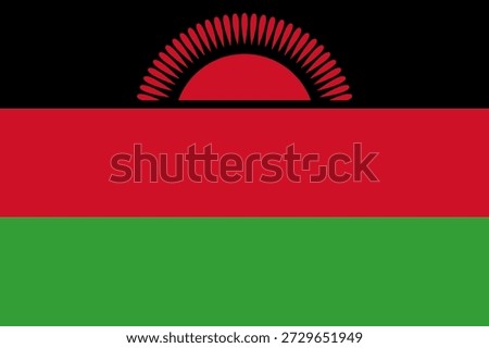 Malawi flag with red, black, and green colors displayed in a clear format