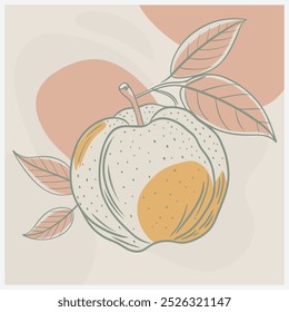 Malay Apple Fruit Vector Illustration