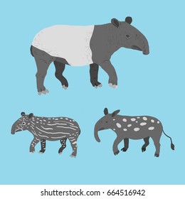 Malay tapir vector collection
