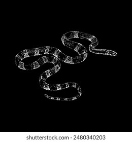 malayan krait hand drawing vector isolated on black background.