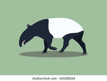 malayan tapir, animal vector illustration, isolated