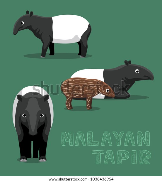 Malayan Tapir Cute Cartoon Vector Illustration 库存矢量图 免版税