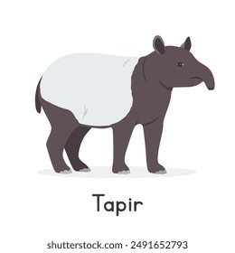 Malayan tapir vector illustration, cartoon clipart character, animal in flat style. Wild animals, wild creatures, wildlife concept. Tapir vector design isolated on white background