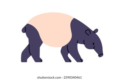 Malayan tapir walking. Exotic Asian animal. Tropical mammal with elongated nose, trunk. Wild fauna, herbivore with proboscis, profile. Flat graphic vector illustration isolated on white background