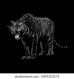 malayan tiger hand drawing vector isolated on black background.