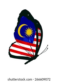 Malaysia flag butterfly - vector