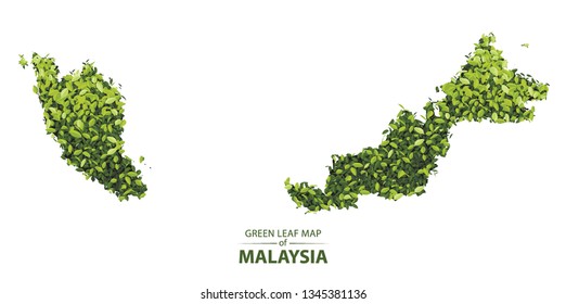 malaysia map made up of green leaf on white background vector illustration of a forest is conceptual of the global green environmental issues worldwide