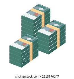 Malaysian Ringgit Vector Illustration. Malaysia money set bundle banknotes. Paper money 50 MYR. Flat style. Isolated on white background. Simple minimal design.