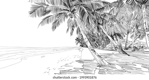 Maldive island sketch. Beautiful tropical sea ​​shore. Resort. Sandy beaches with palms. Hand drawn sketch. Vector illustration.