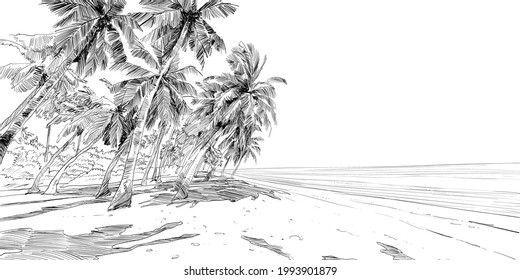 Maldive island sketch. Beautiful tropical sea ​​shore. Resort. Sandy beaches with palms. Hand drawn sketch. Vector illustration.