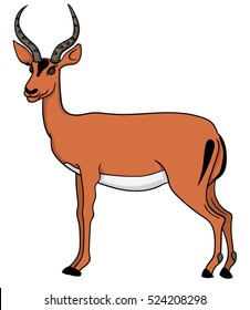 Male African antelope. Impala