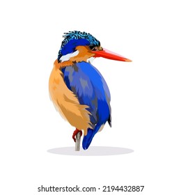Male American Goldfinch bird vector illustration