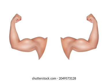 Male Arm With A Big Strong Bicep. Healthy Power. Tense Flex Muscles Of Sportsman. Light Brown Hand Of The Sportsman. Fitness And Health Concept. On A White Background. 3D Vector EPS10