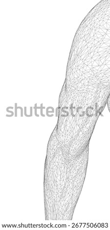 Male athlete's arm wireframe with defined forearm, bicep, and shoulder muscles, depicted as a black line vector illustration on white background.