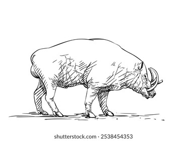 Babirusa masculina ou porco-veado das espécies da família suína encontradas nas ilhas indonésias, ilustração desenhada à mão, esboço vetorial